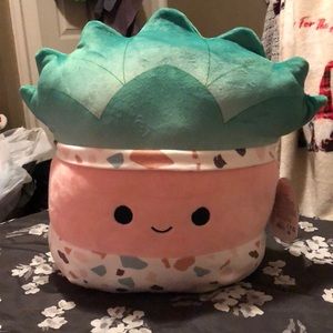 Abena squishmallow